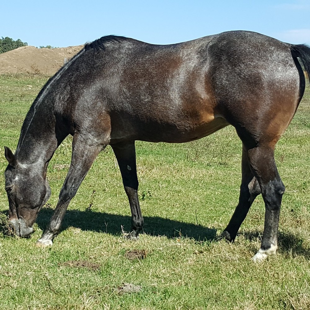 Meet your Posher, Carla